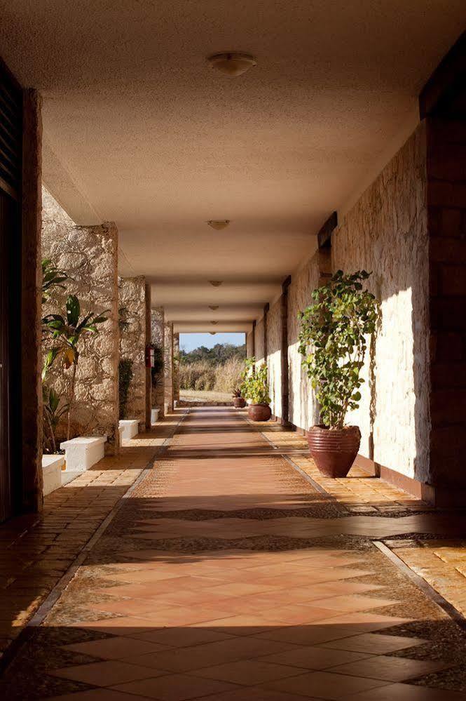 Hotel Tucan Siho Playa Seybaplaya Exterior foto
